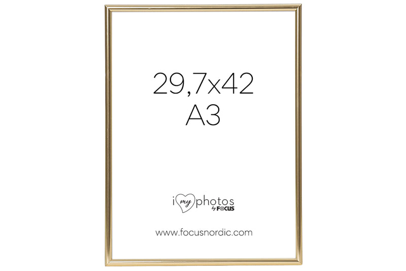 FOCUS CAN-CAN GULD A3