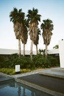 KODAK EASTMAN KODACOLOR 200 135/36 1-PAK