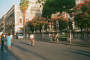 KODAK EKTAR 100 4x5" FILM 10-PAK