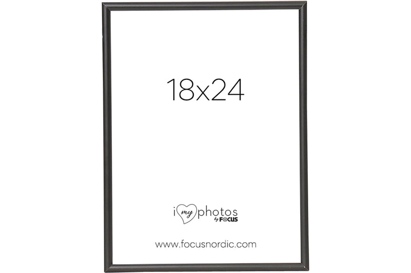 FOCUS CAN-CAN SORT 18X24
