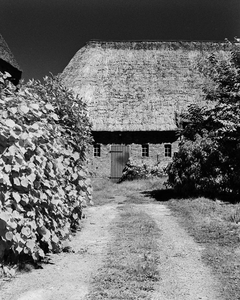 ROLLEI INFRARED 200 120 1-PAK