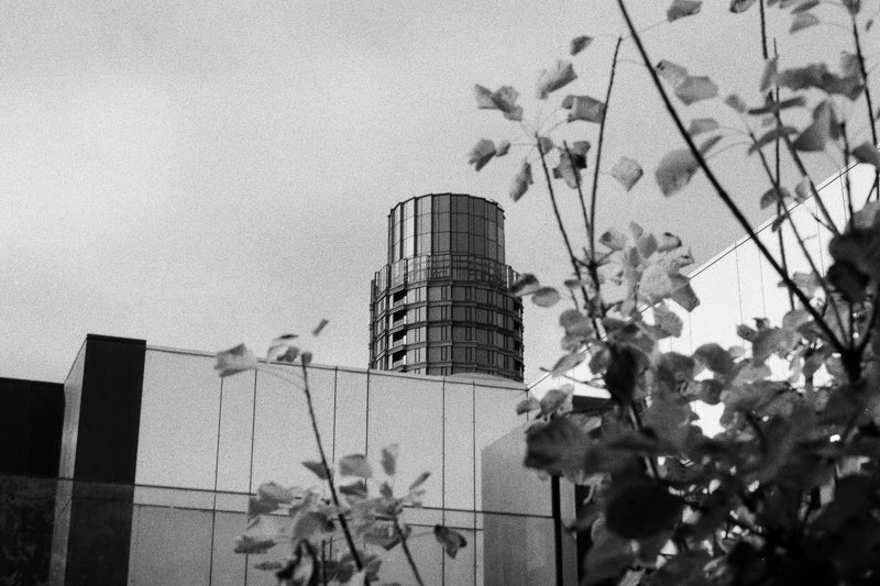 AGFA APX 100 135 30,5M BULK