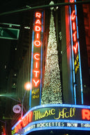 CANDIDO 800 COLOR 135/36 1-PAK